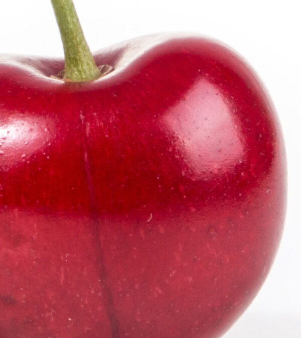 shop29-product-15-4 Product Image