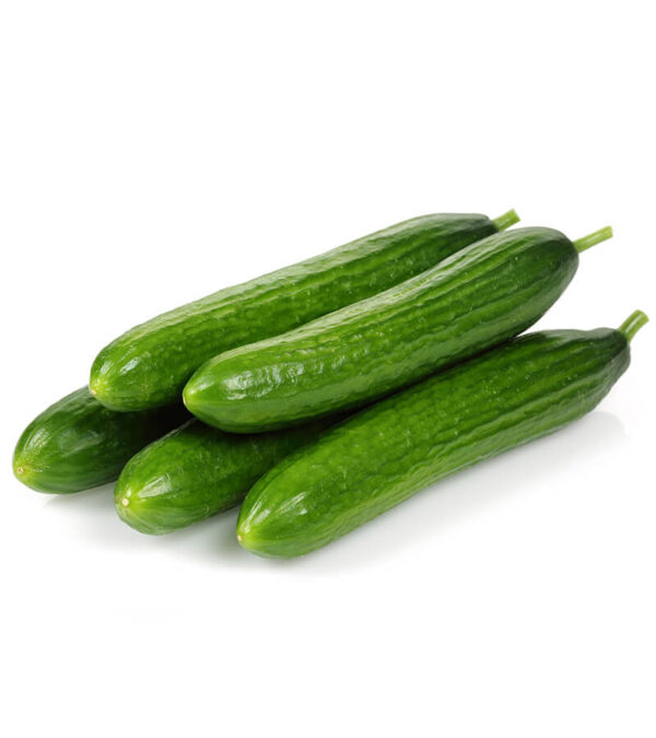 shop29-product-16-3 Product Image