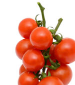 shop29-product-3-4 (1)