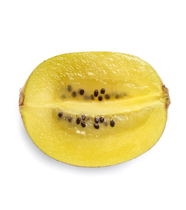 shop29-product-5-1 Product Image